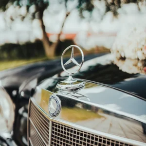 Zdjęcie z sesji ślubnej